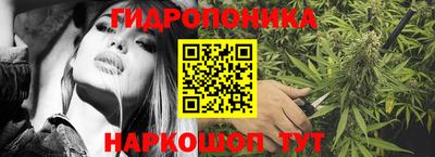 гашик Кунгур